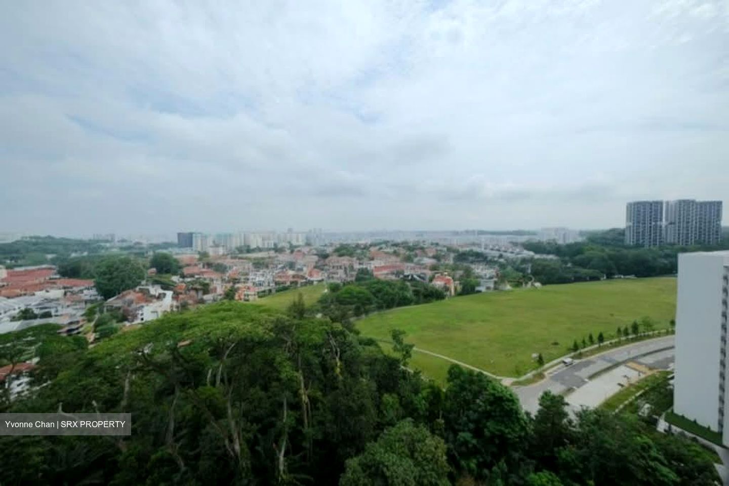 The Skywoods (D23), Condominium #555319471
